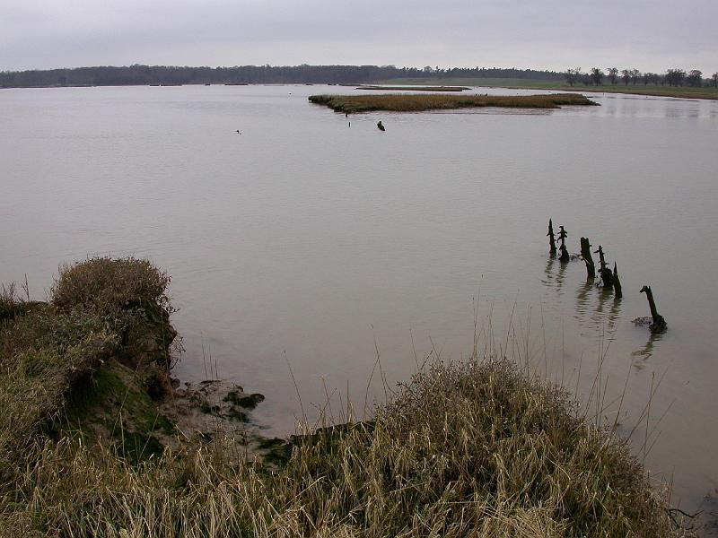 Bulcamp Marshes - DSCN3655.JPG